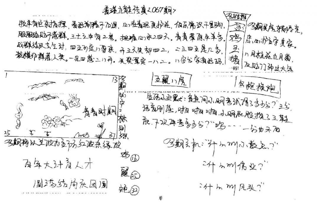 图片加载中